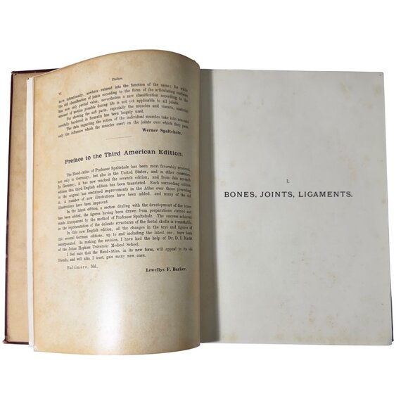 Werner Spalteholz Hand Atlas Of Human Anatomy Vol I Lippincott Medical HC Third - Picture 5 of 16